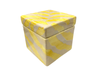 Vernon Hills Color Me Mine Tiger Print Box